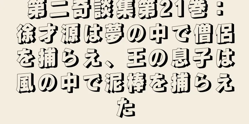 第二奇談集第21巻：徐才源は夢の中で僧侶を捕らえ、王の息子は風の中で泥棒を捕らえた