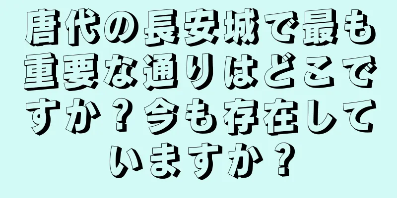 唐代の長安城で最も重要な通りはどこですか？今も存在していますか？