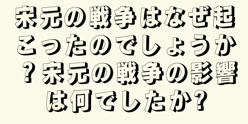 宋元の戦争はなぜ起こったのでしょうか？宋元の戦争の影響は何でしたか?