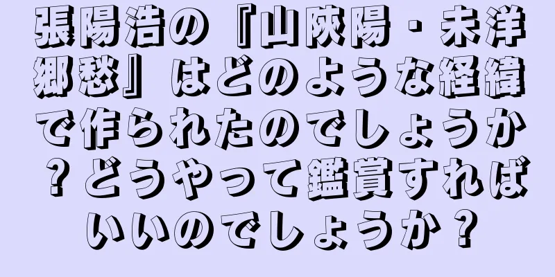 張陽浩の『山陝陽・未洋郷愁』はどのような経緯で作られたのでしょうか？どうやって鑑賞すればいいのでしょうか？