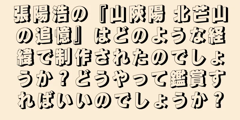 張陽浩の『山陝陽 北芒山の追憶』はどのような経緯で制作されたのでしょうか？どうやって鑑賞すればいいのでしょうか？