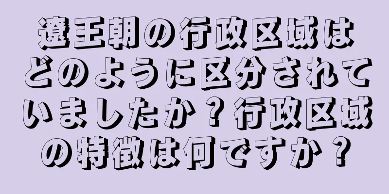 遼王朝の行政区域はどのように区分されていましたか？行政区域の特徴は何ですか？