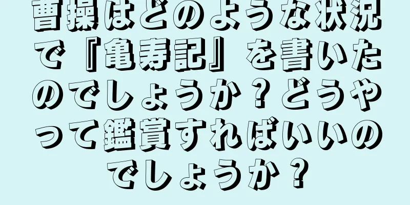 曹操はどのような状況で『亀寿記』を書いたのでしょうか？どうやって鑑賞すればいいのでしょうか？