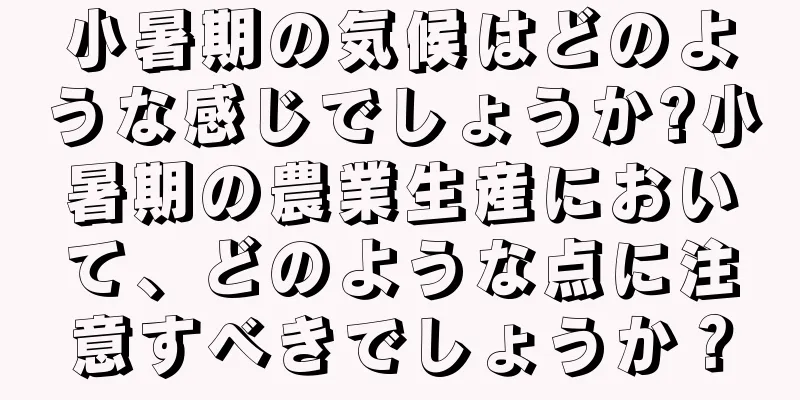 小暑期の気候はどのような感じでしょうか?小暑期の農業生産において、どのような点に注意すべきでしょうか？
