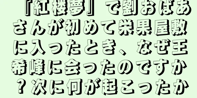 『紅楼夢』で劉おばあさんが初めて栄果屋敷に入ったとき、なぜ王希峰に会ったのですか？次に何が起こったか