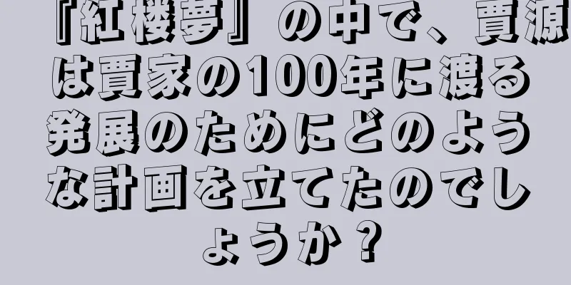 『紅楼夢』の中で、賈源は賈家の100年に渡る発展のためにどのような計画を立てたのでしょうか？