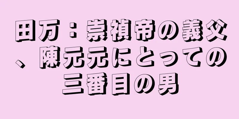 田万：崇禎帝の義父、陳元元にとっての三番目の男