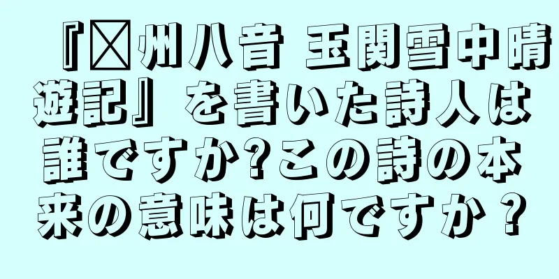 『贛州八音 玉関雪中晴遊記』を書いた詩人は誰ですか?この詩の本来の意味は何ですか？