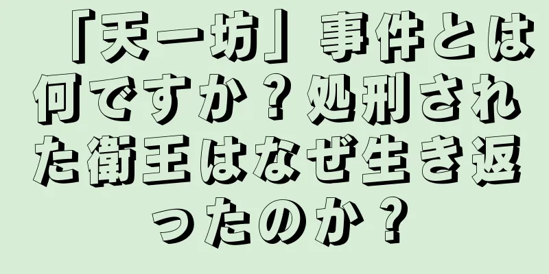 「天一坊」事件とは何ですか？処刑された衛王はなぜ生き返ったのか？