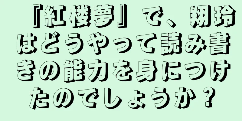 『紅楼夢』で、翔玲はどうやって読み書きの能力を身につけたのでしょうか？