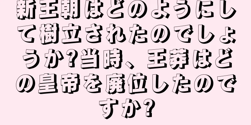 新王朝はどのようにして樹立されたのでしょうか?当時、王莽はどの皇帝を廃位したのですか?