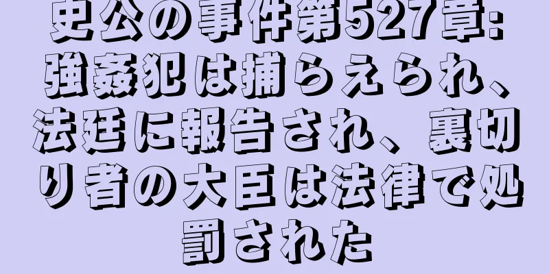 史公の事件第527章:強姦犯は捕らえられ、法廷に報告され、裏切り者の大臣は法律で処罰された
