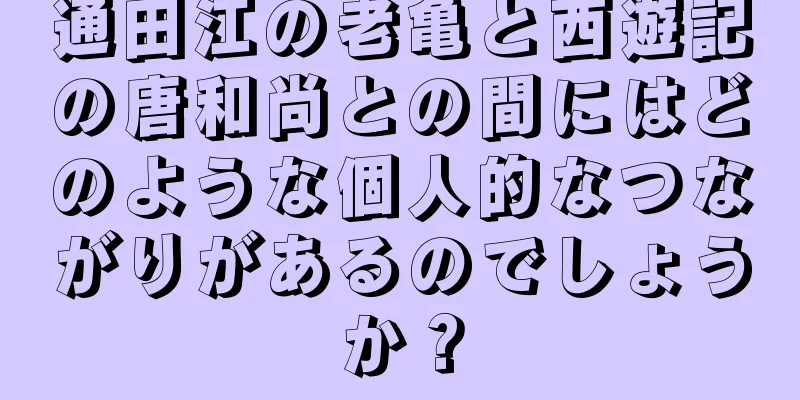 通田江の老亀と西遊記の唐和尚との間にはどのような個人的なつながりがあるのでしょうか？