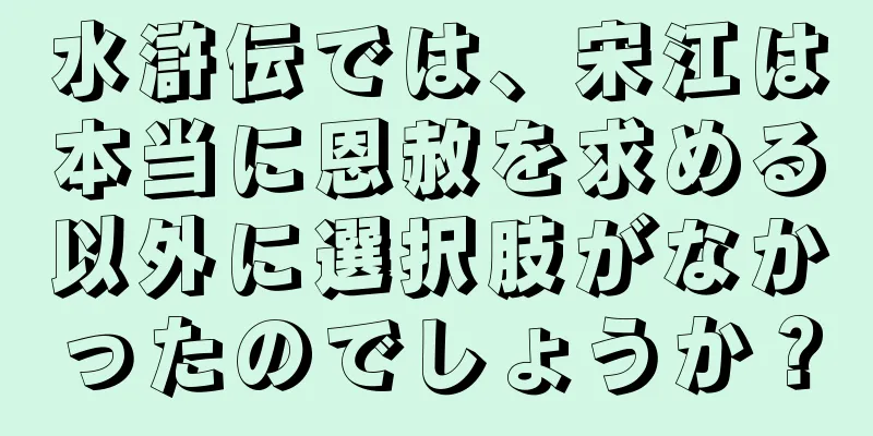 水滸伝では、宋江は本当に恩赦を求める以外に選択肢がなかったのでしょうか？