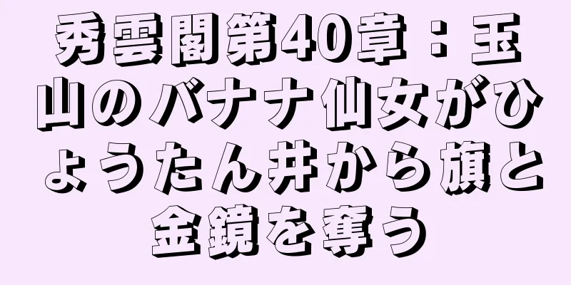 秀雲閣第40章：玉山のバナナ仙女がひょうたん井から旗と金鏡を奪う