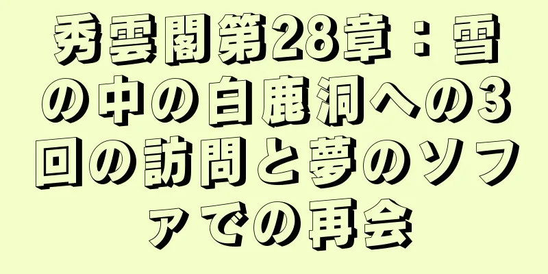 秀雲閣第28章：雪の中の白鹿洞への3回の訪問と夢のソファでの再会