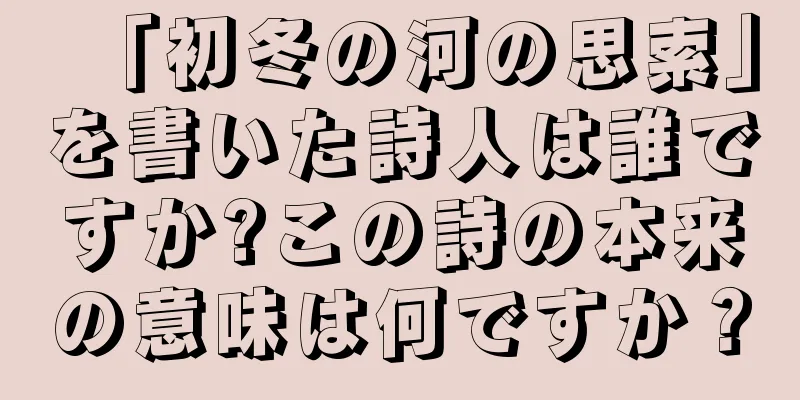 「初冬の河の思索」を書いた詩人は誰ですか?この詩の本来の意味は何ですか？