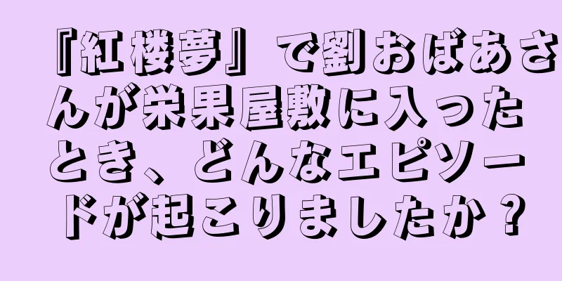 『紅楼夢』で劉おばあさんが栄果屋敷に入ったとき、どんなエピソードが起こりましたか？