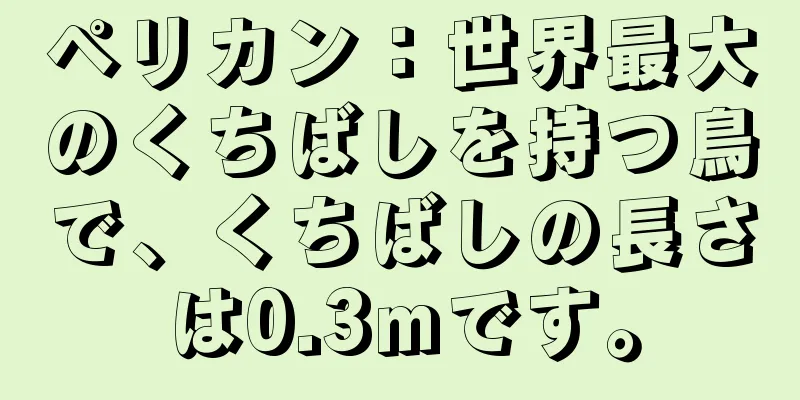 ペリカン：世界最大のくちばしを持つ鳥で、くちばしの長さは0.3mです。