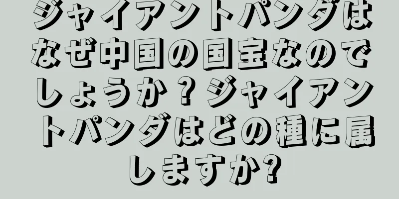 ジャイアントパンダはなぜ中国の国宝なのでしょうか？ジャイアントパンダはどの種に属しますか?