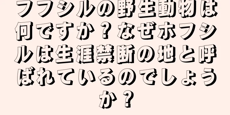 フフシルの野生動物は何ですか？なぜホフシルは生涯禁断の地と呼ばれているのでしょうか？