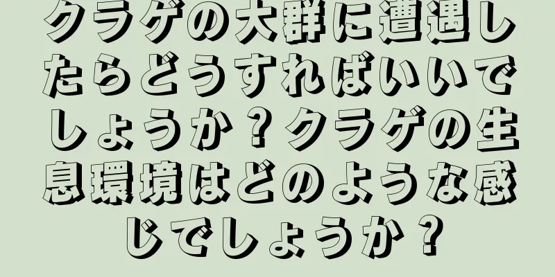 クラゲの大群に遭遇したらどうすればいいでしょうか？クラゲの生息環境はどのような感じでしょうか？