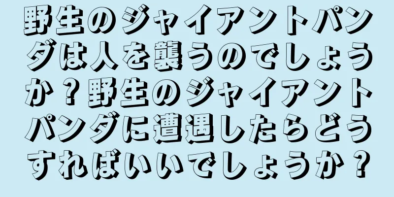野生のジャイアントパンダは人を襲うのでしょうか？野生のジャイアントパンダに遭遇したらどうすればいいでしょうか？