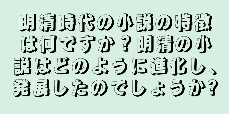 明清時代の小説の特徴は何ですか？明清の小説はどのように進化し、発展したのでしょうか?