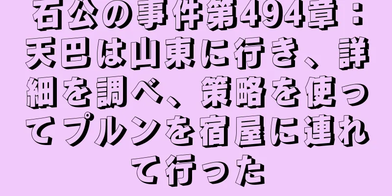 石公の事件第494章：天巴は山東に行き、詳細を調べ、策略を使ってプルンを宿屋に連れて行った