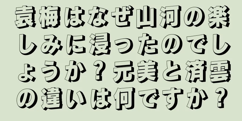 袁梅はなぜ山河の楽しみに浸ったのでしょうか？元美と済雲の違いは何ですか？