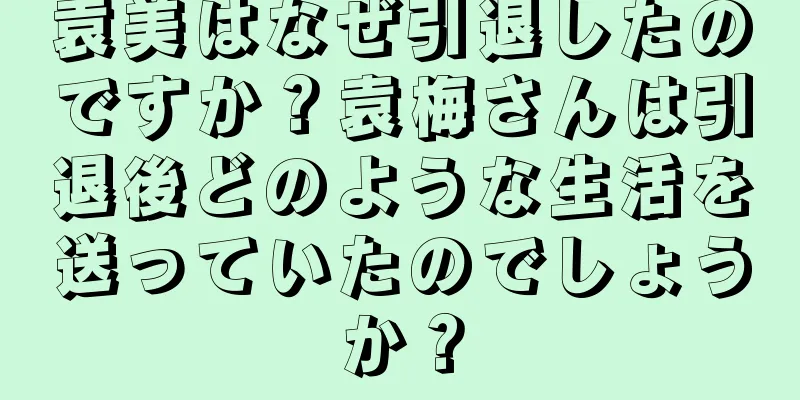 袁美はなぜ引退したのですか？袁梅さんは引退後どのような生活を送っていたのでしょうか？