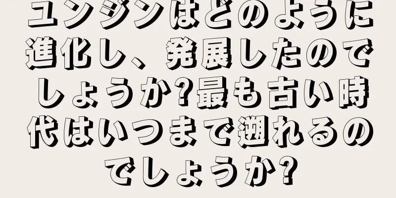 ユンジンはどのように進化し、発展したのでしょうか?最も古い時代はいつまで遡れるのでしょうか?
