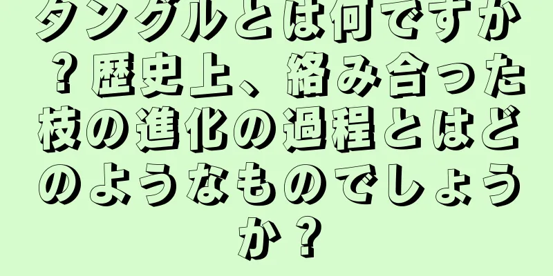 タングルとは何ですか？歴史上、絡み合った枝の進化の過程とはどのようなものでしょうか？