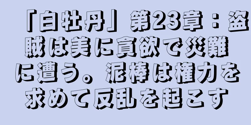 「白牡丹」第23章：盗賊は美に貪欲で災難に遭う。泥棒は権力を求めて反乱を起こす