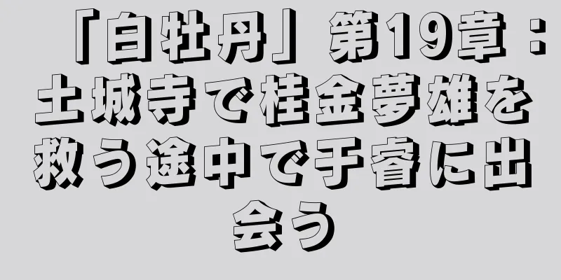 「白牡丹」第19章：土城寺で桂金夢雄を救う途中で于睿に出会う