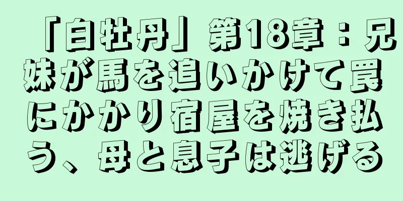 「白牡丹」第18章：兄妹が馬を追いかけて罠にかかり宿屋を焼き払う、母と息子は逃げる