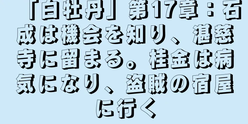 「白牡丹」第17章：石成は機会を知り、湛慈寺に留まる。桂金は病気になり、盗賊の宿屋に行く