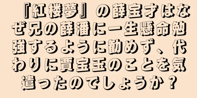 『紅楼夢』の薛宝才はなぜ兄の薛潘に一生懸命勉強するように勧めず、代わりに賈宝玉のことを気遣ったのでしょうか？