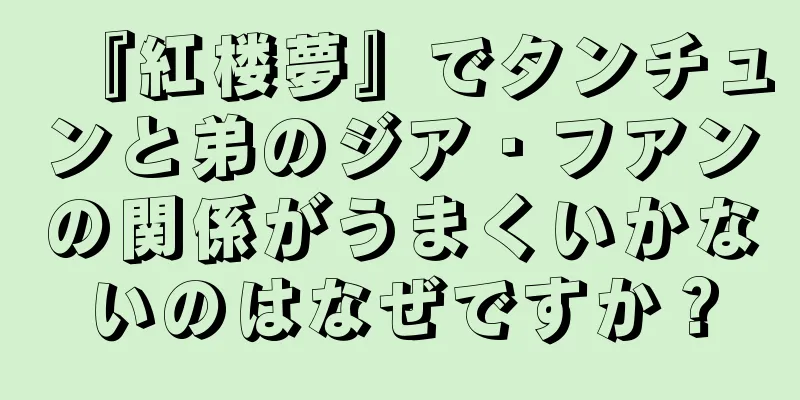 『紅楼夢』でタンチュンと弟のジア・フアンの関係がうまくいかないのはなぜですか？
