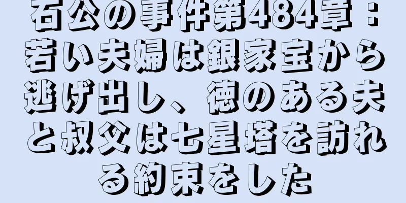 石公の事件第484章：若い夫婦は銀家宝から逃げ出し、徳のある夫と叔父は七星塔を訪れる約束をした