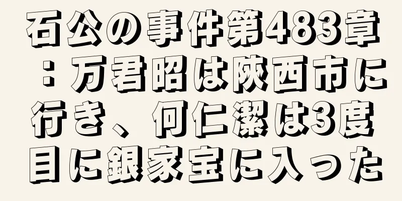 石公の事件第483章：万君昭は陝西市に行き、何仁潔は3度目に銀家宝に入った