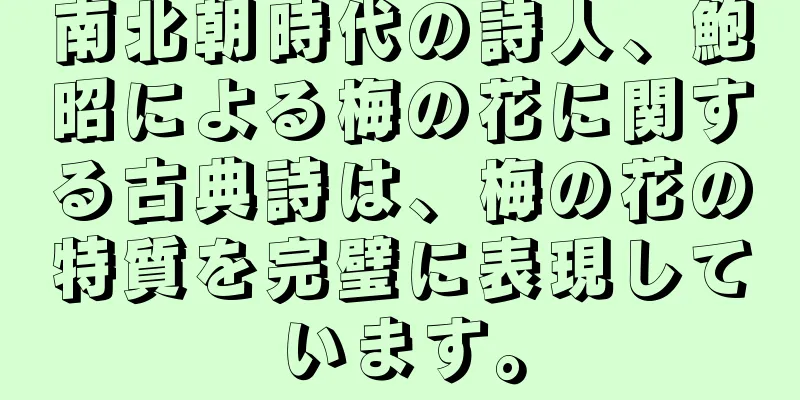 南北朝時代の詩人、鮑昭による梅の花に関する古典詩は、梅の花の特質を完璧に表現しています。