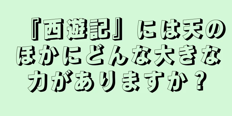 『西遊記』には天のほかにどんな大きな力がありますか？