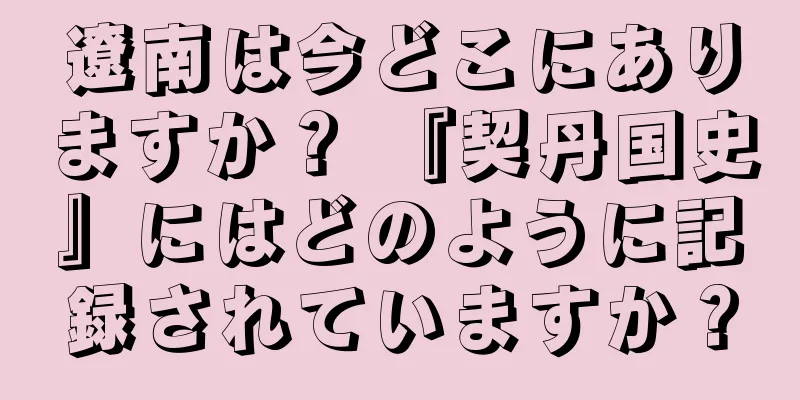 遼南は今どこにありますか？ 『契丹国史』にはどのように記録されていますか？
