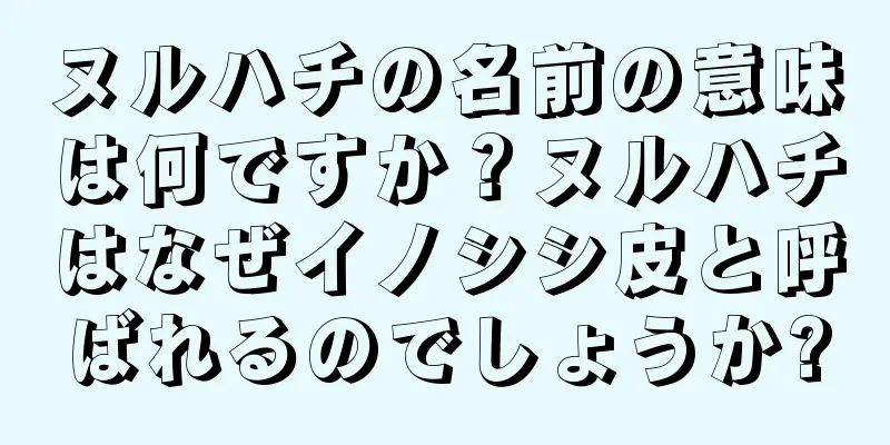 ヌルハチの名前の意味は何ですか？ヌルハチはなぜイノシシ皮と呼ばれるのでしょうか?