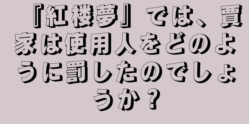 『紅楼夢』では、賈家は使用人をどのように罰したのでしょうか？