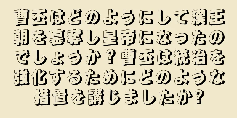 曹丕はどのようにして漢王朝を簒奪し皇帝になったのでしょうか？曹丕は統治を強化するためにどのような措置を講じましたか?