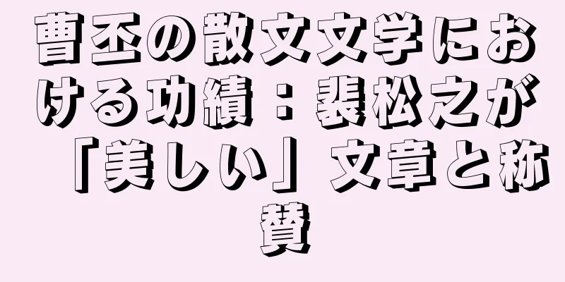 曹丕の散文文学における功績：裴松之が「美しい」文章と称賛