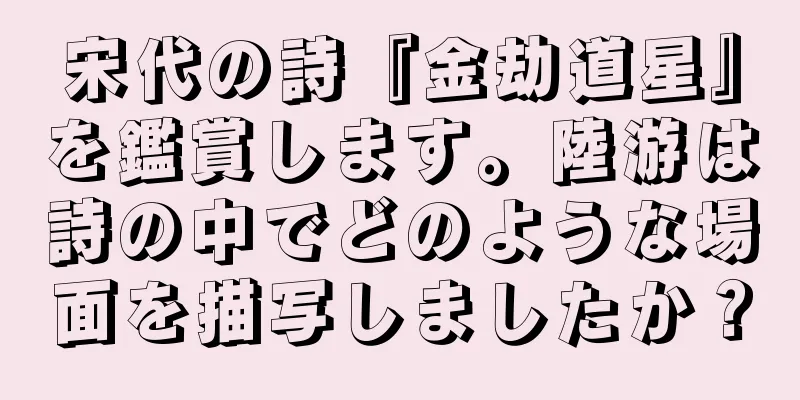 宋代の詩『金劫道星』を鑑賞します。陸游は詩の中でどのような場面を描写しましたか？