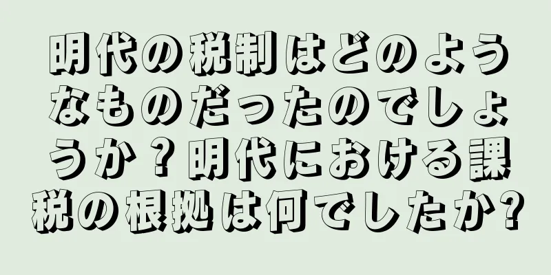 明代の税制はどのようなものだったのでしょうか？明代における課税の根拠は何でしたか?